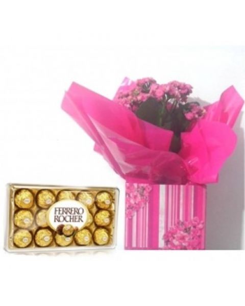 Arranjo Ferrero Rocher Prodotti Brasiliani Online in Italia